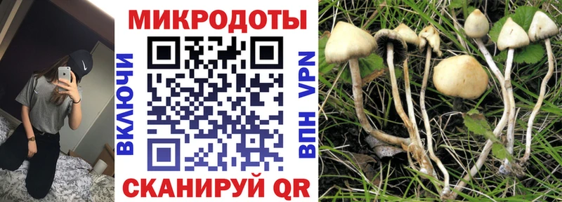Купить где  Дербент  Псилоцибиновые грибы MAGIC MUSHROOMS 